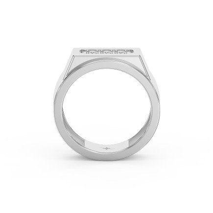 Elegance  Regal Trio Diamond Band for Men – Lab - Grown & Natural Diamond Jewelry - Valam Design
