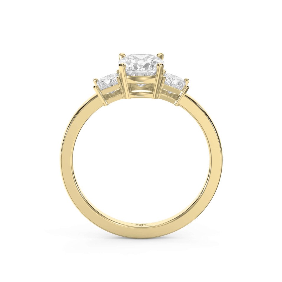 Design Your Dream Ring – Three-Stone Classic Setting Personalized Brilliance with Custom Center Stone & Princess Side Diamonds