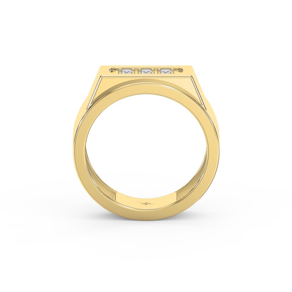 Elegance  Regal Trio Diamond Band for Men – Lab - Grown & Natural Diamond Jewelry - Valam Design